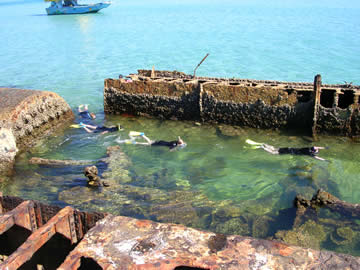 Snorkelling the Tangalooma Wrecks with Supercat Charters